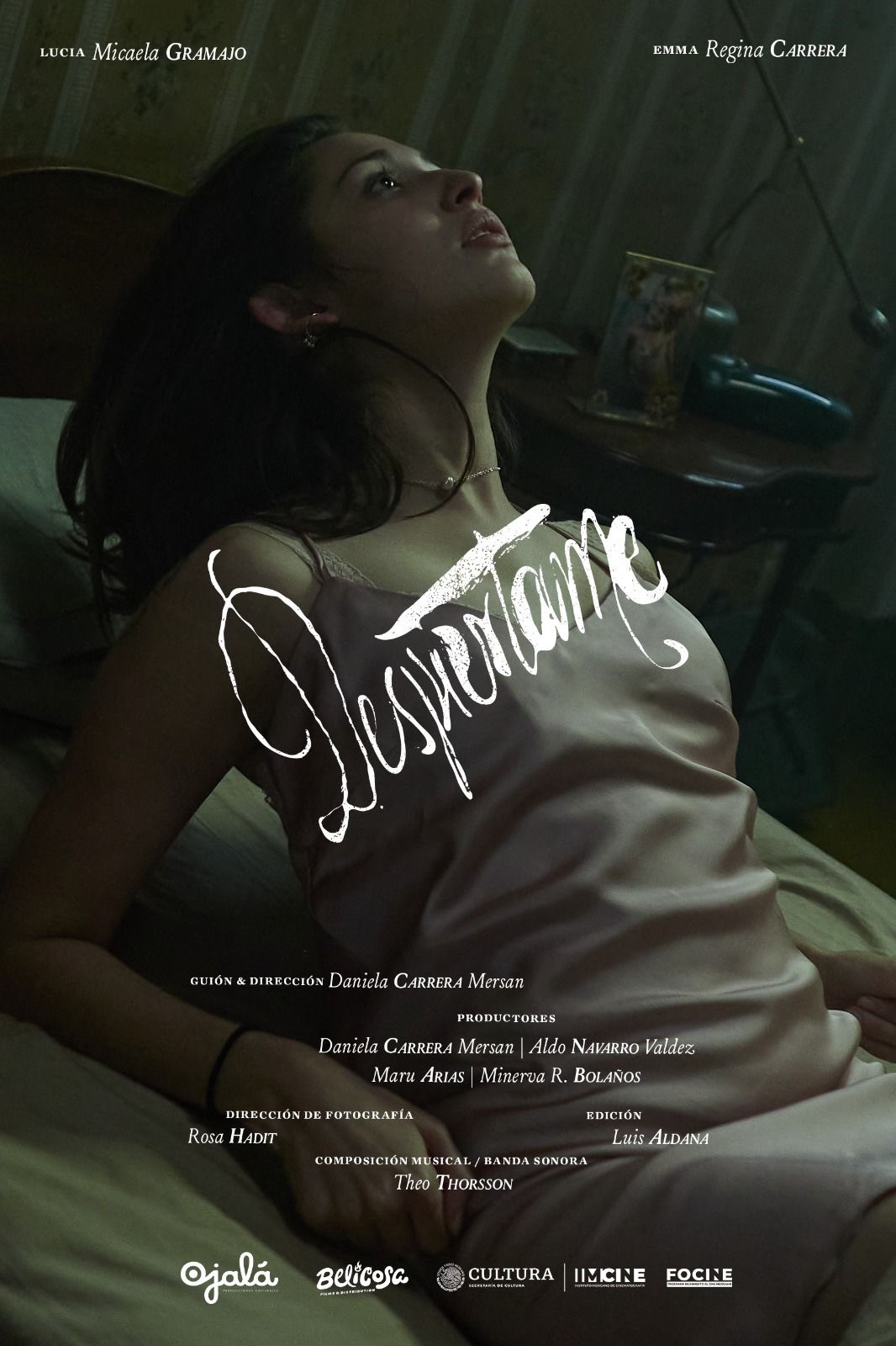 Poster for the short film Despiértame, original music by Theo Thorsson
